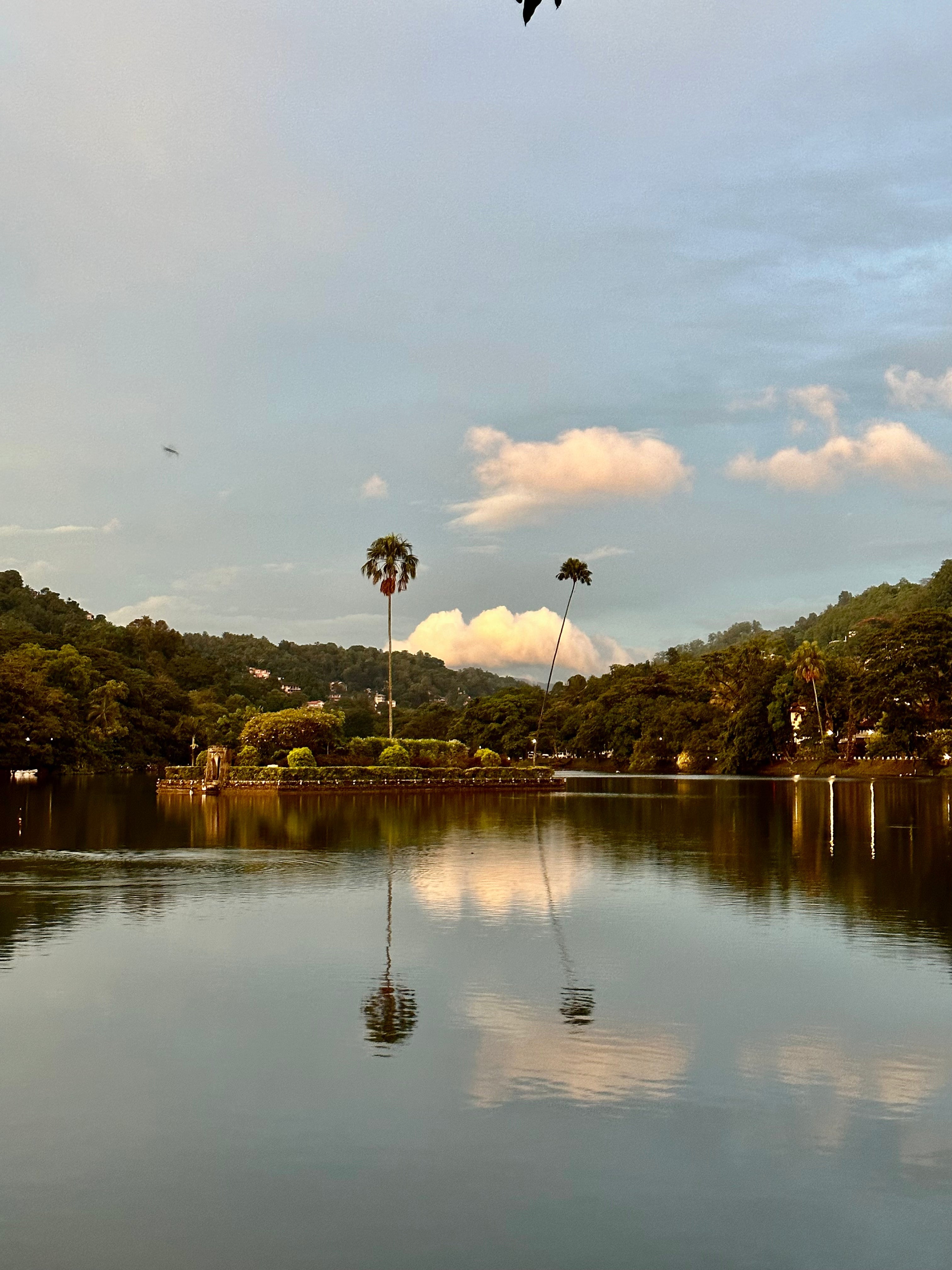 Las 10 cosas que debes saber ANTES de viajar a SRI LANKA