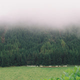 Guía de viaje - Azores