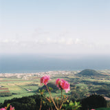 Guía de viaje - Azores