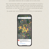 Guía de Viaje - Roma