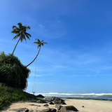 Guía de Viaje - Sri Lanka