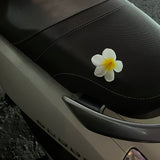 Guía de Viaje Básica- Asia