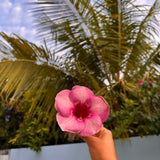 Guía de Viaje -Tailandia