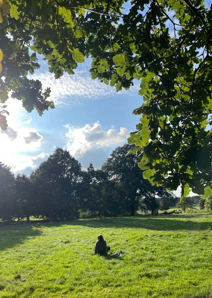 Guía de Viaje - Londres 