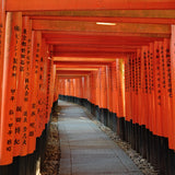 Guía de viaje - Japón