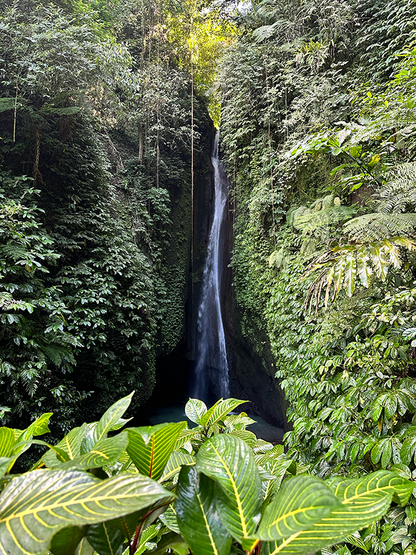 Guía de Viaje - Bali 