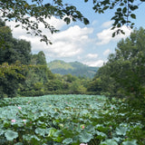 Guía de viaje - Japón