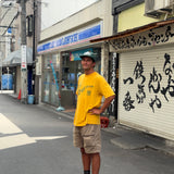 Guía de viaje - Japón